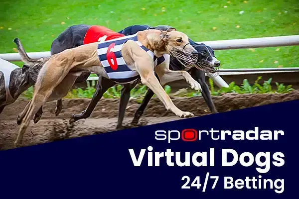 Virtual Dogs Kiron coverImage